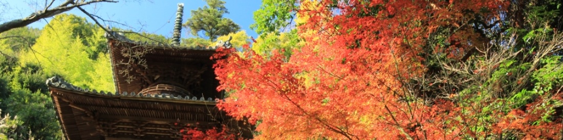秋の弥谷寺